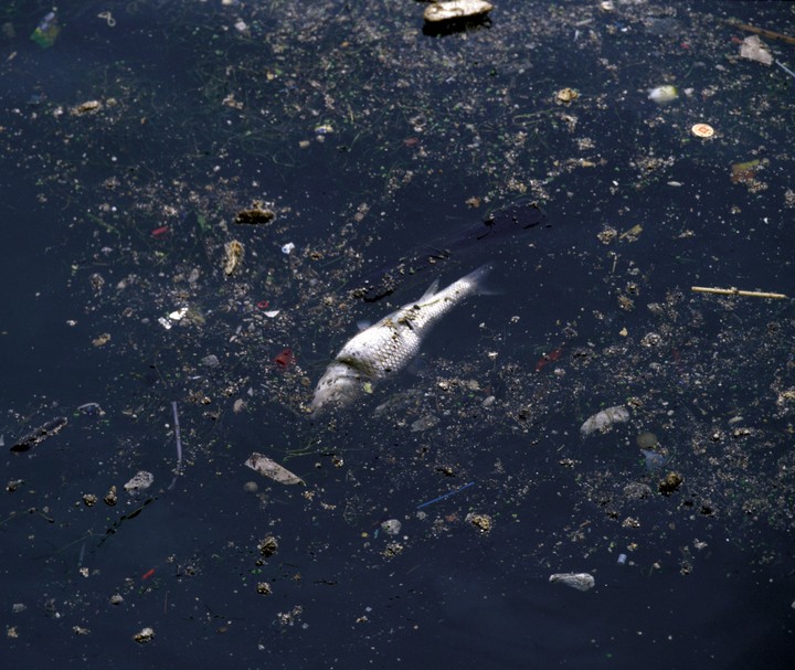 Environment