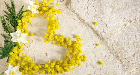 Mimosa heart