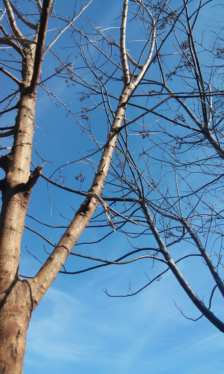 sky