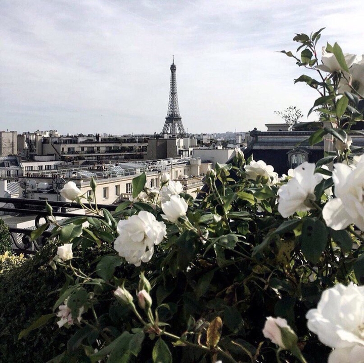Spring