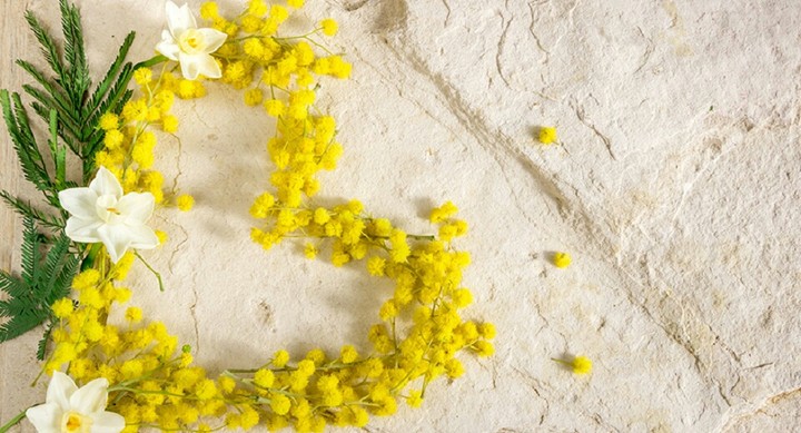 Mimosa heart