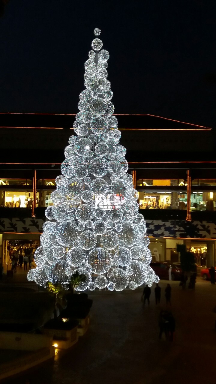 tree