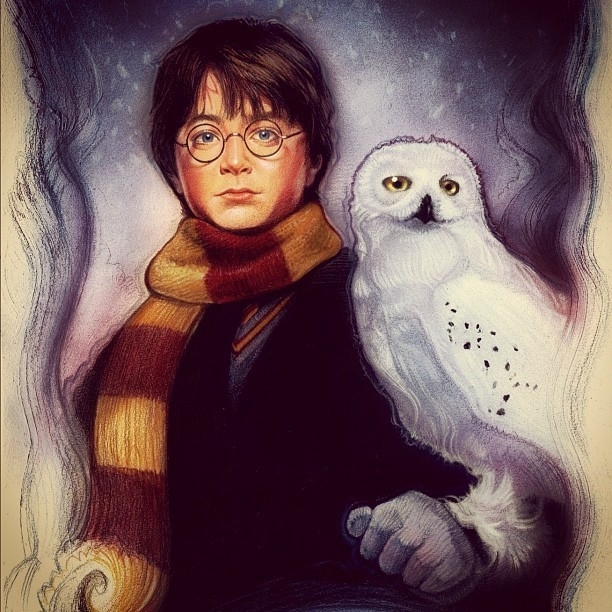 Garry Potter