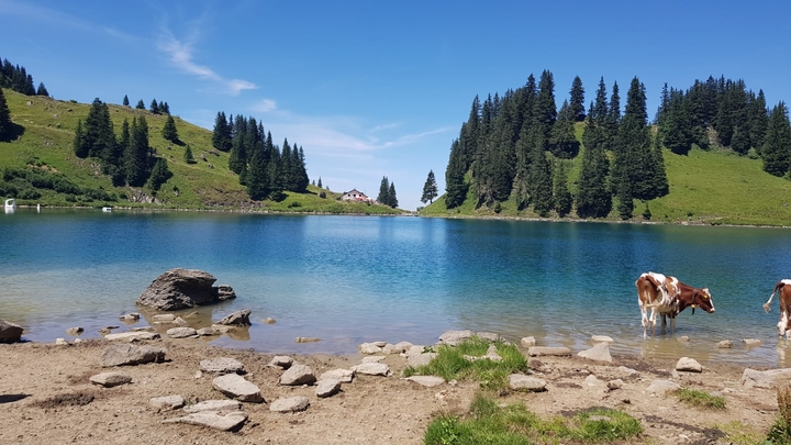 Lioson lake