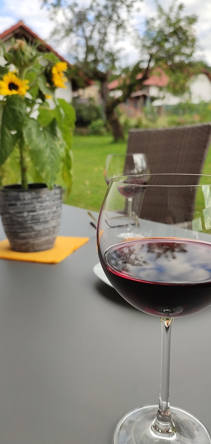 Wein und Sonnenblume im Garten