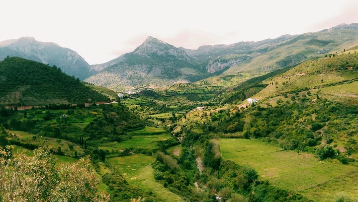 mountains