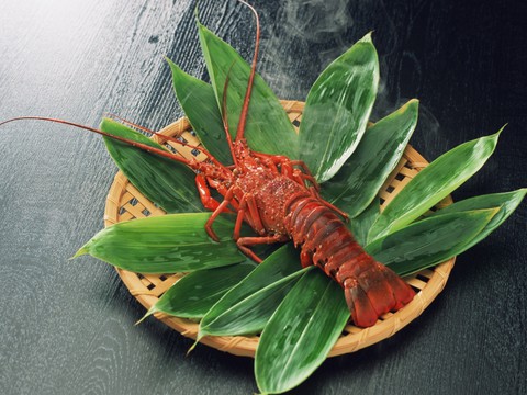 lobster