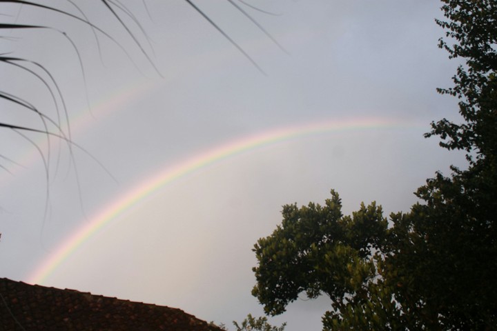 Rainbow