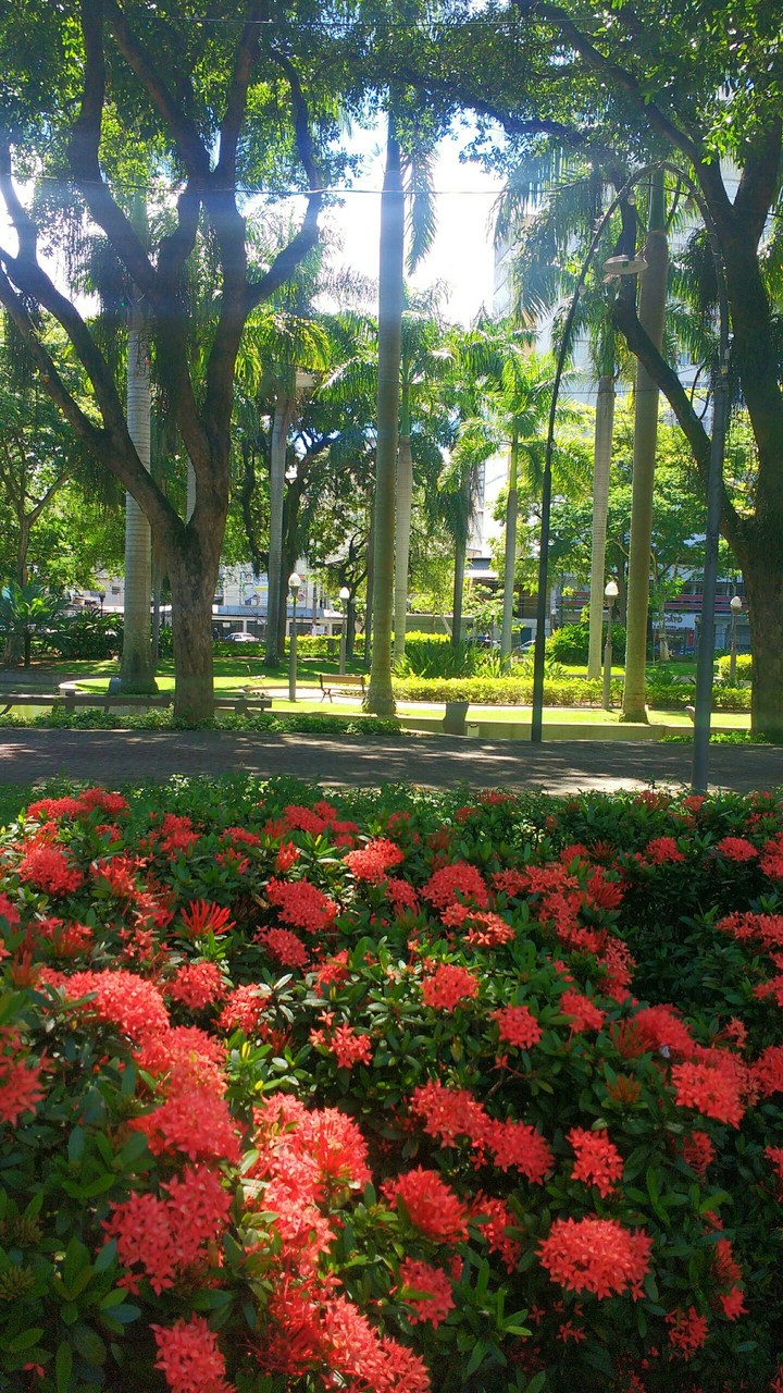 Praça