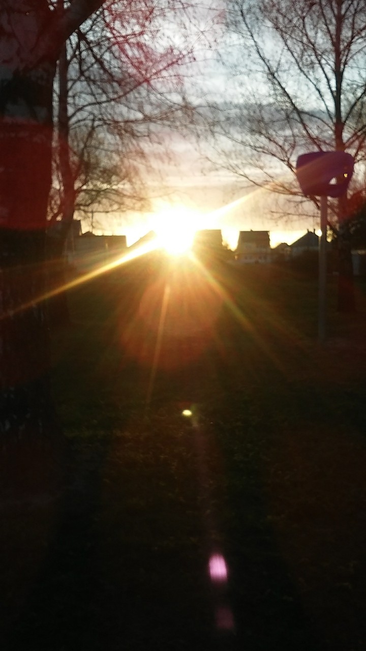 Sunlight
