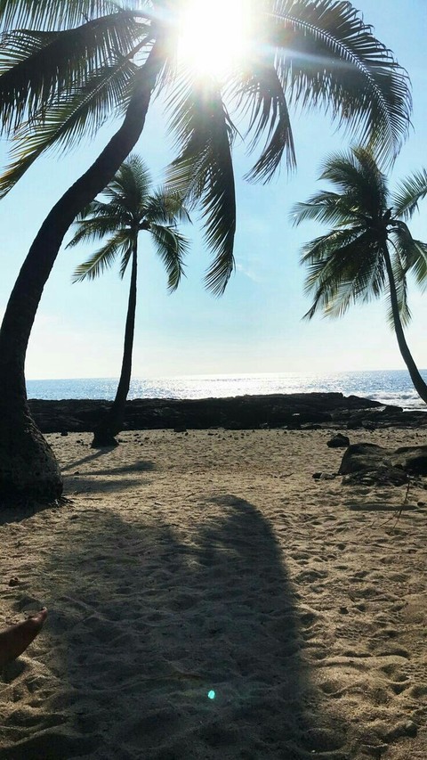 beach