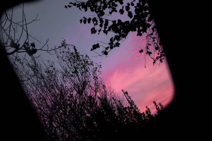 Pink night