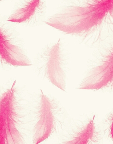 plumas