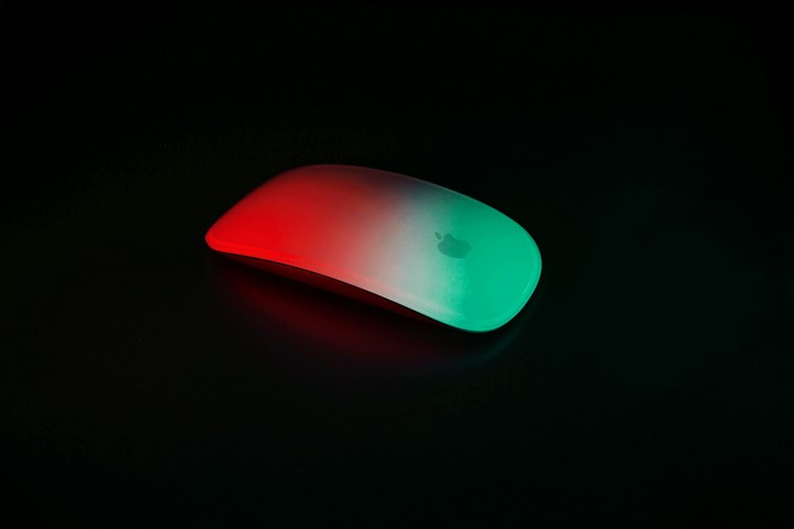 mouse