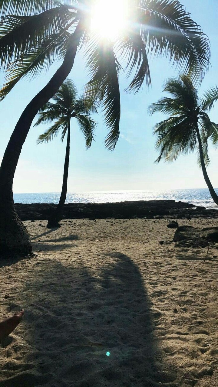beach