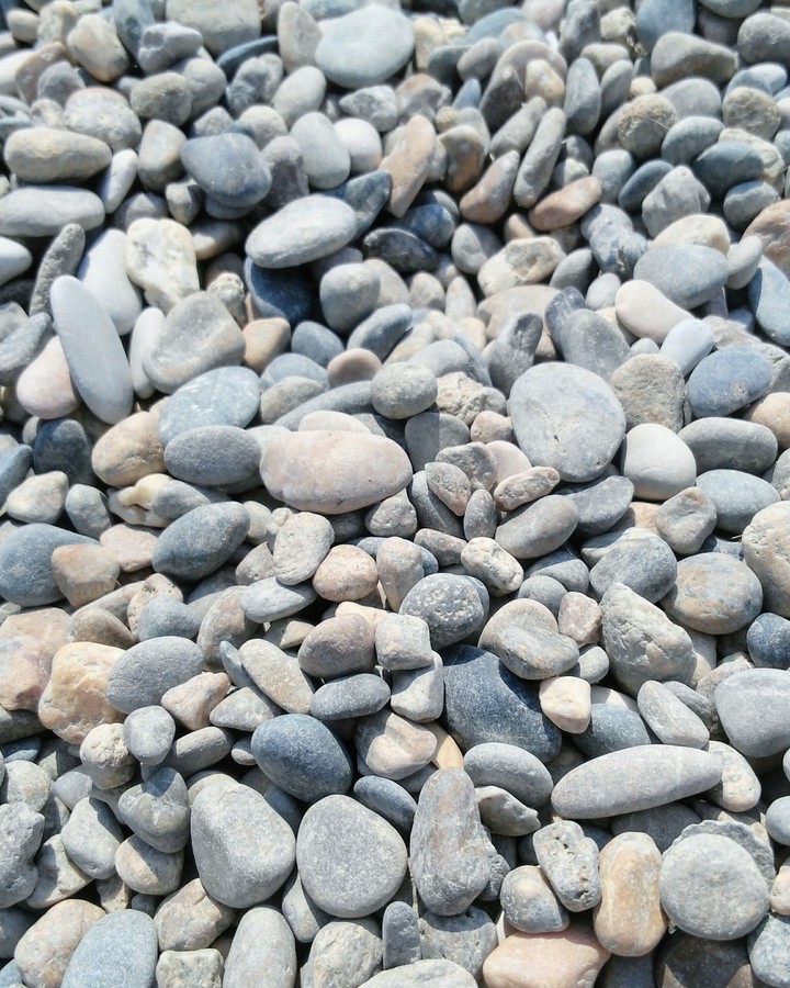 sea stones