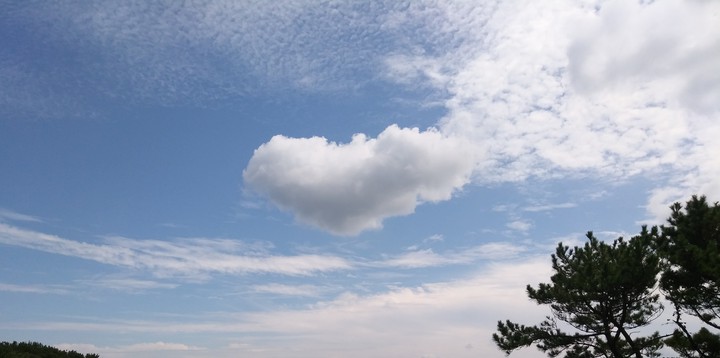 heart ☁