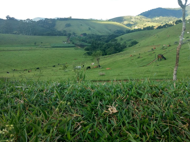 natureza bela.