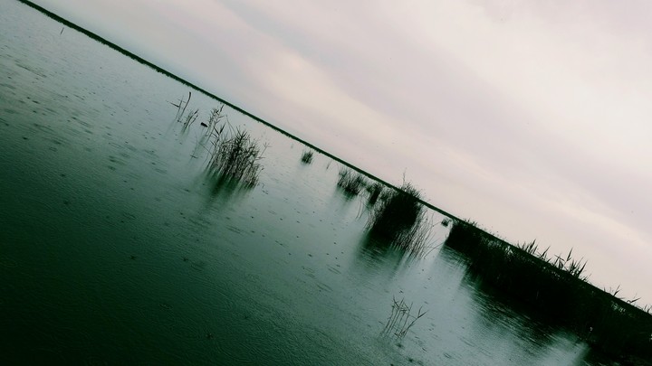 shadegan/khoozestan/Iran