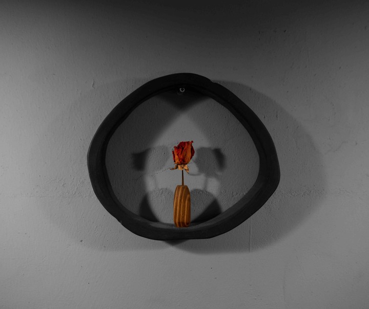 dryflower