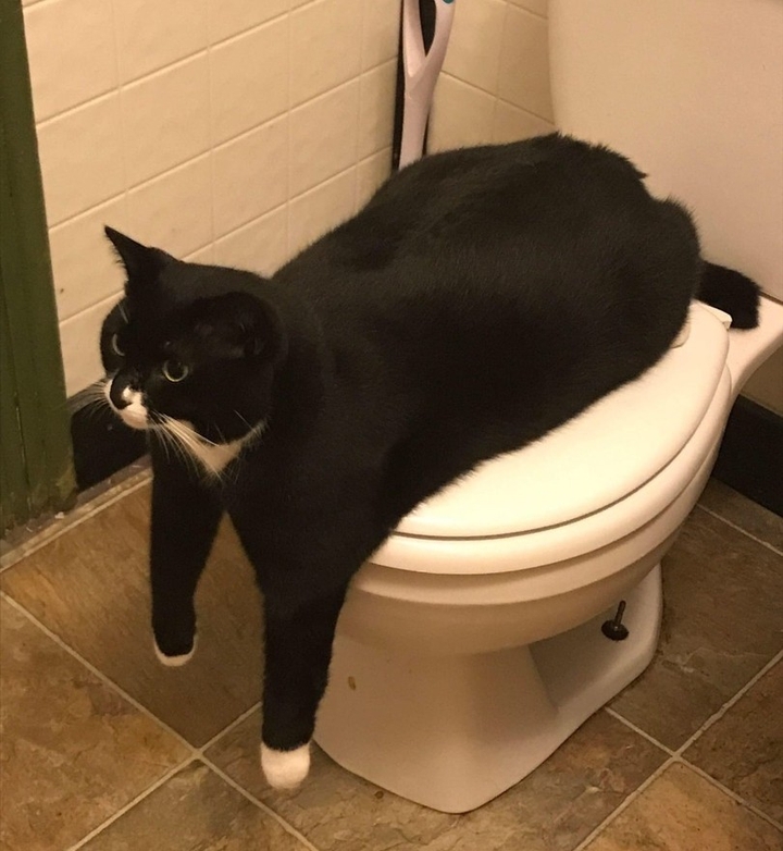 .