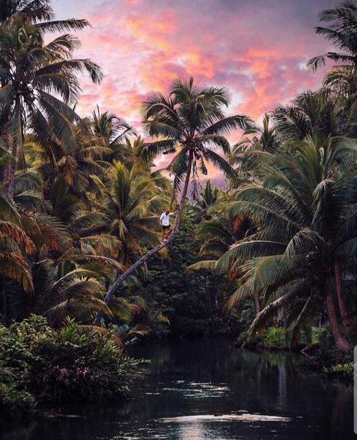 nature