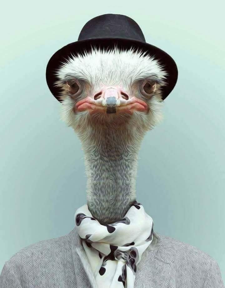 ..ndh
