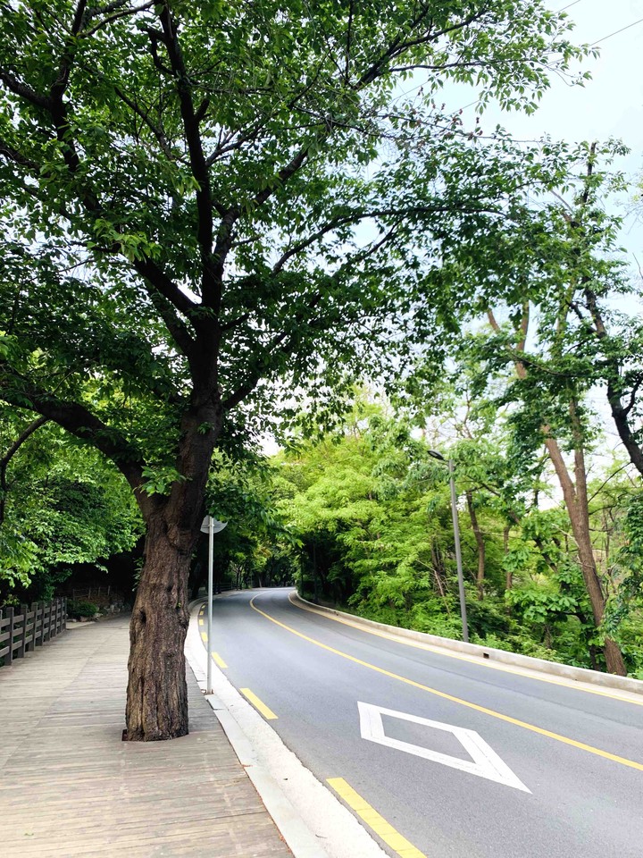 road