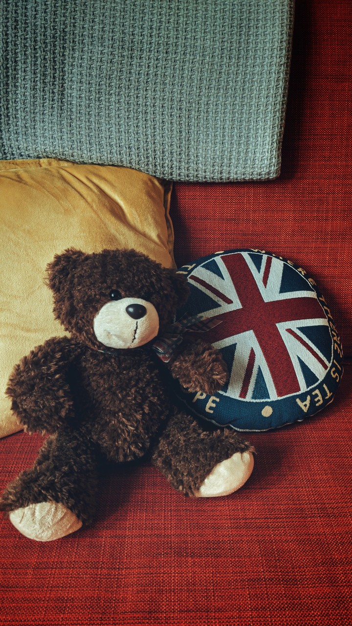 teddy bear