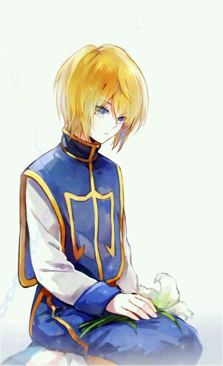 the lily flower