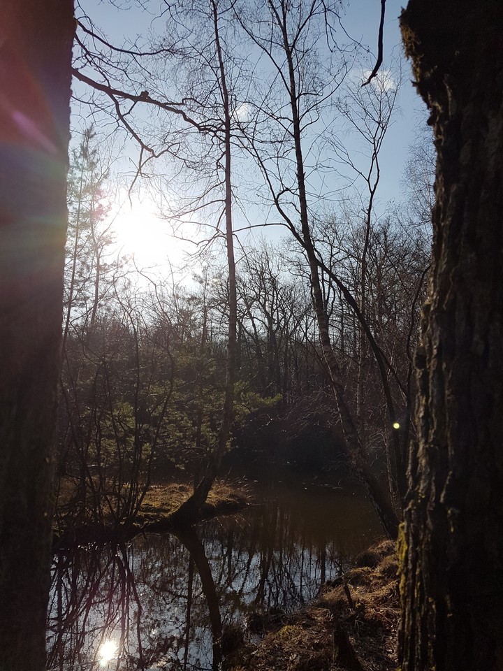 Natur 1