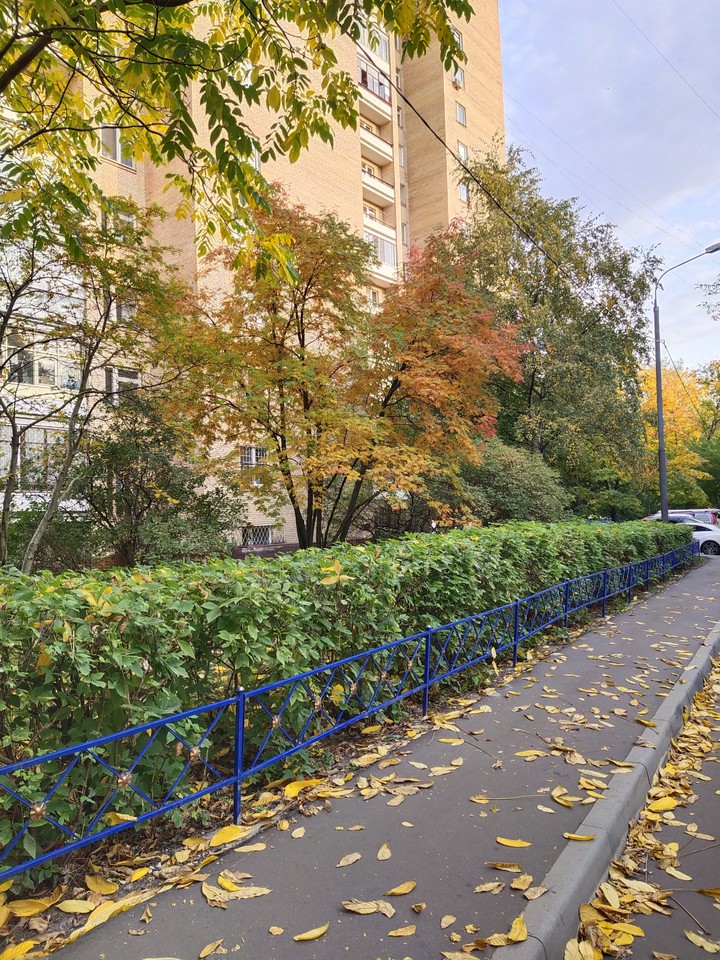 autumn