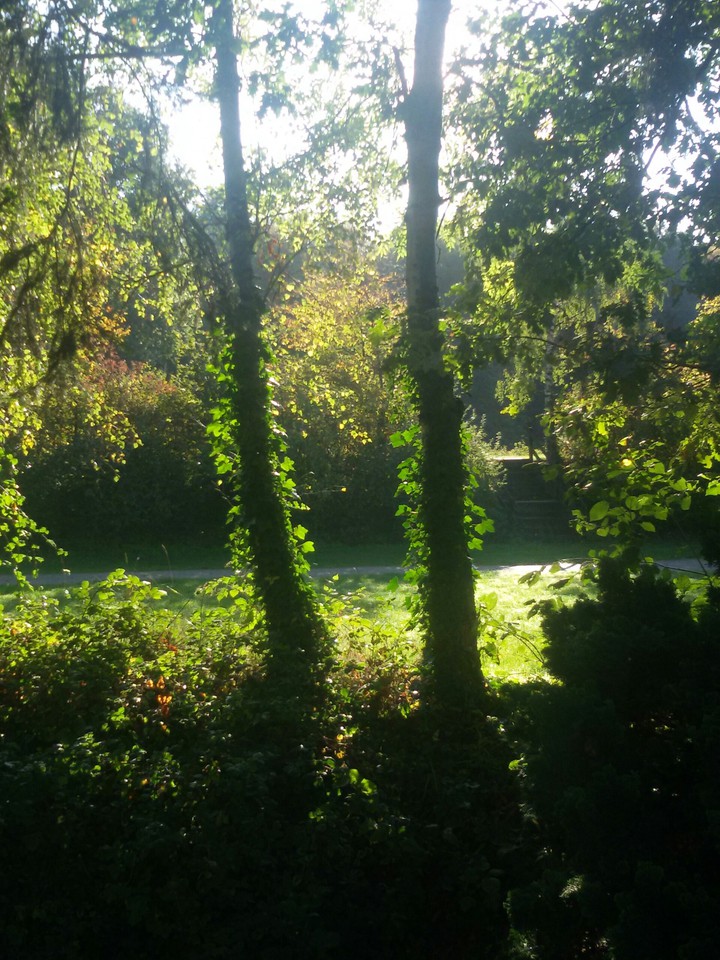 Morgensonne by myself