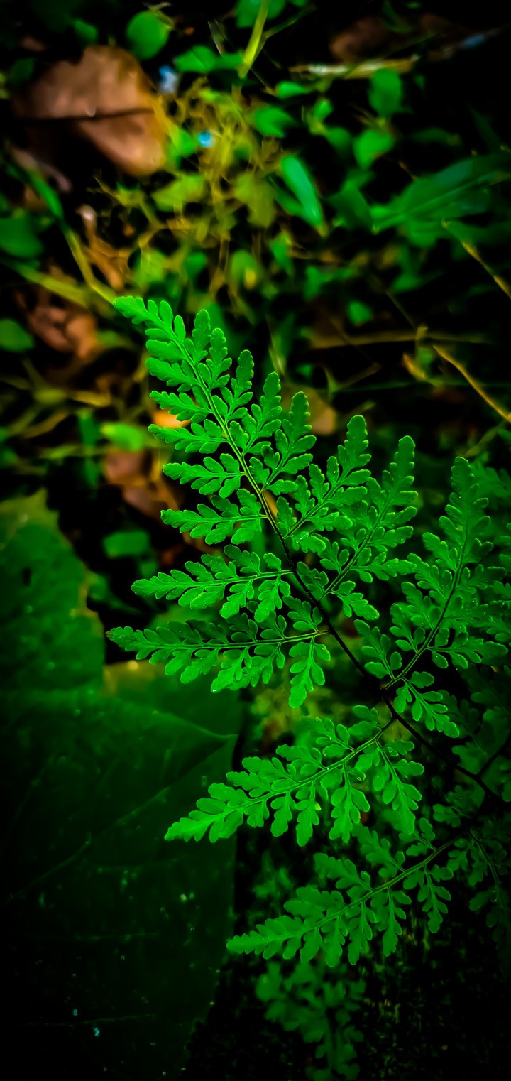 go green....