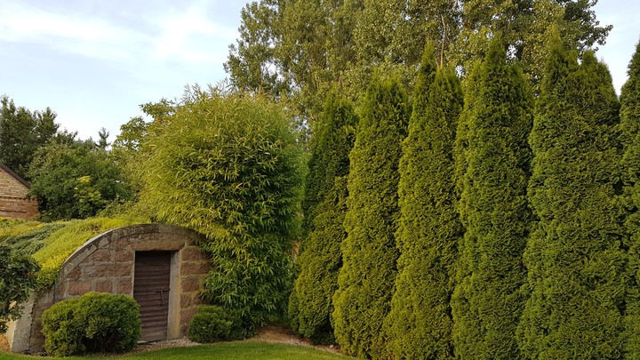 Cellar
