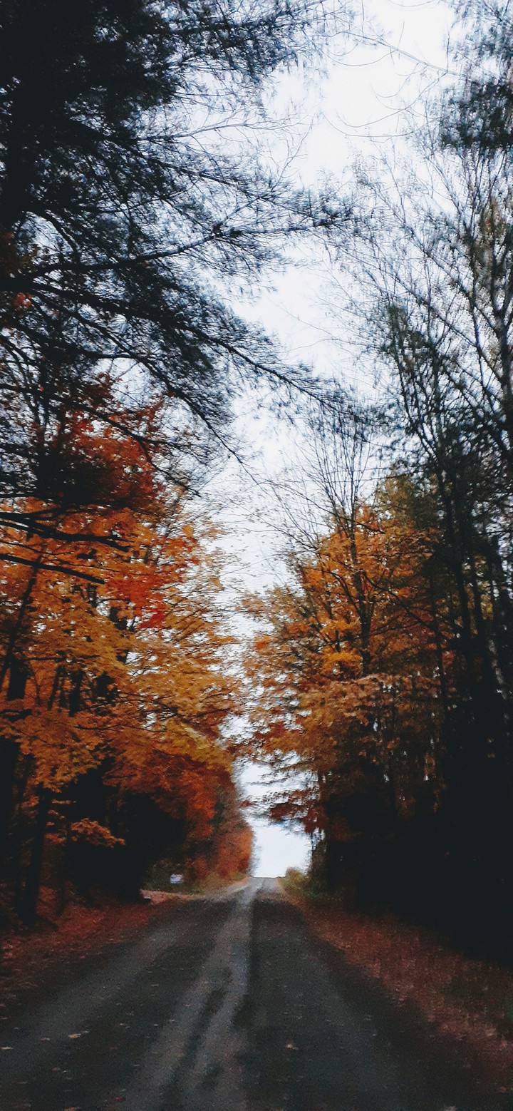 Winding Road