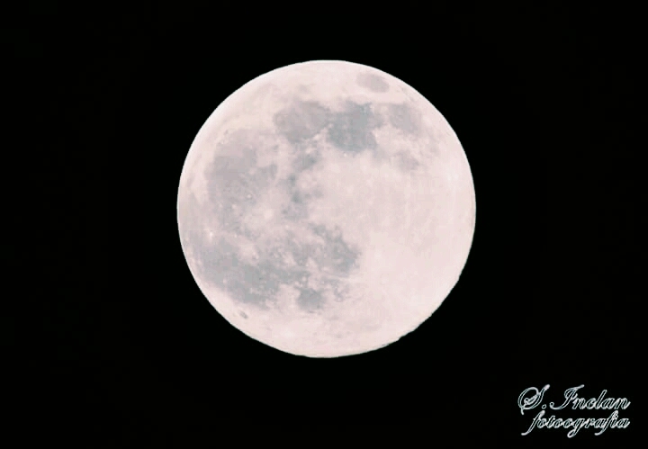 Conejo en la Luna