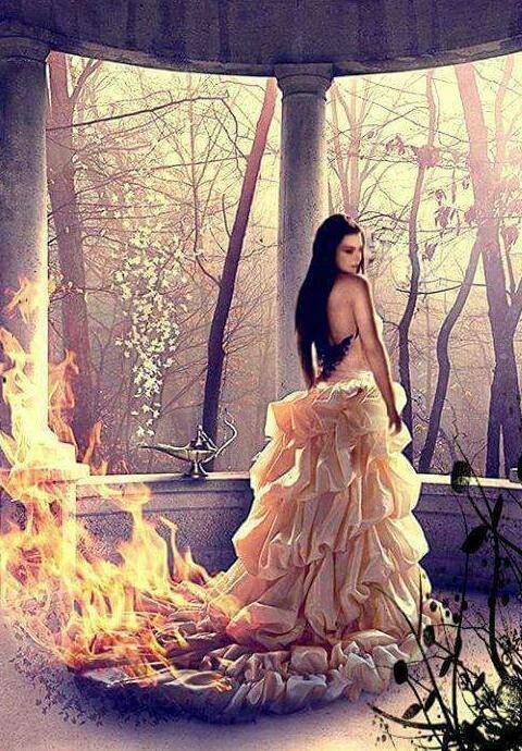 Amy lee