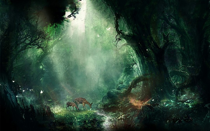 Bambi Jungle