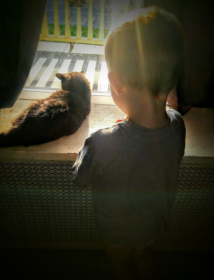 a boy and his cat