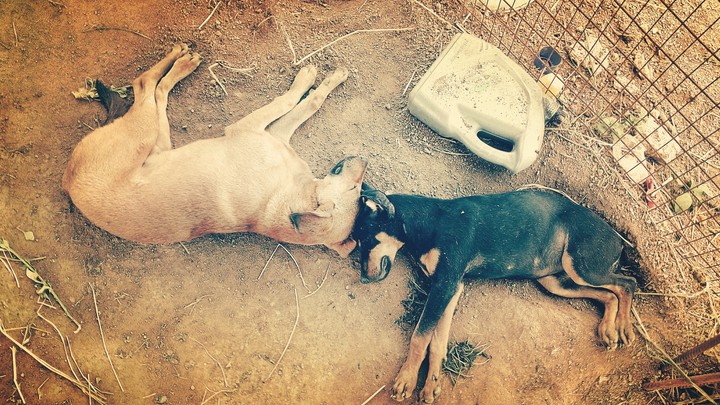 friends