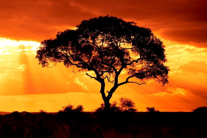 Nature