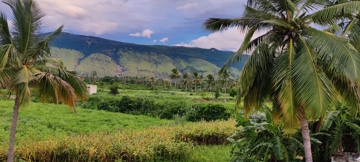 yelagiri hills