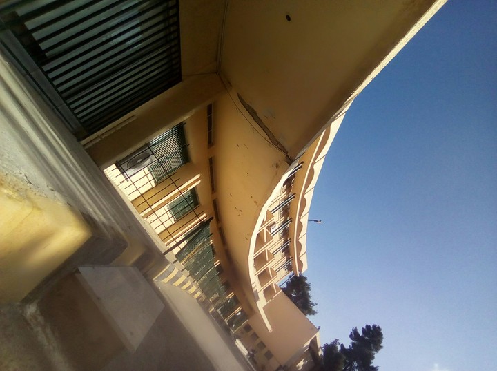 كلية اللغات الاجنبية في الجامعة الاردنية