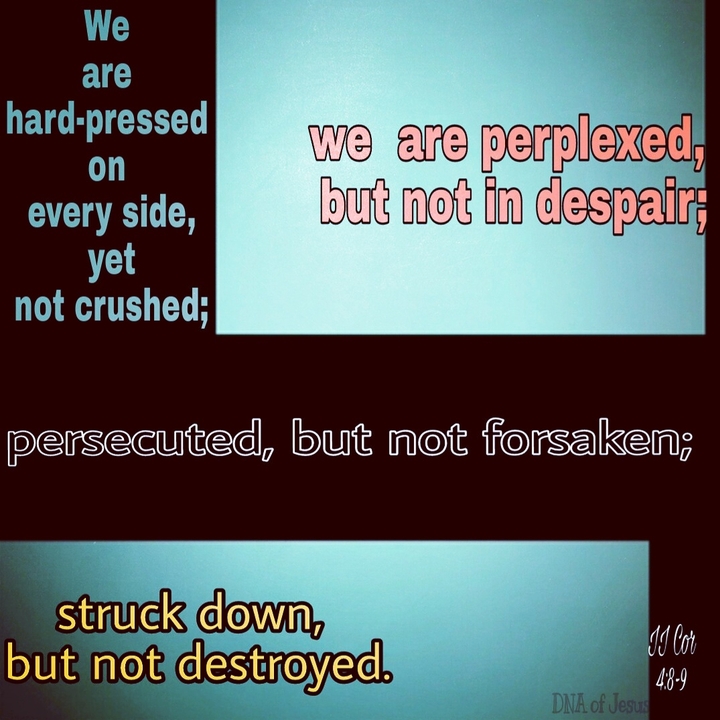 God is with us