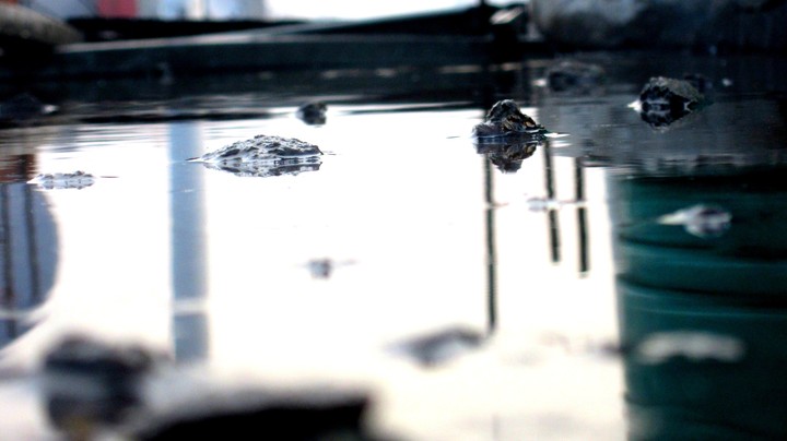 paths in water