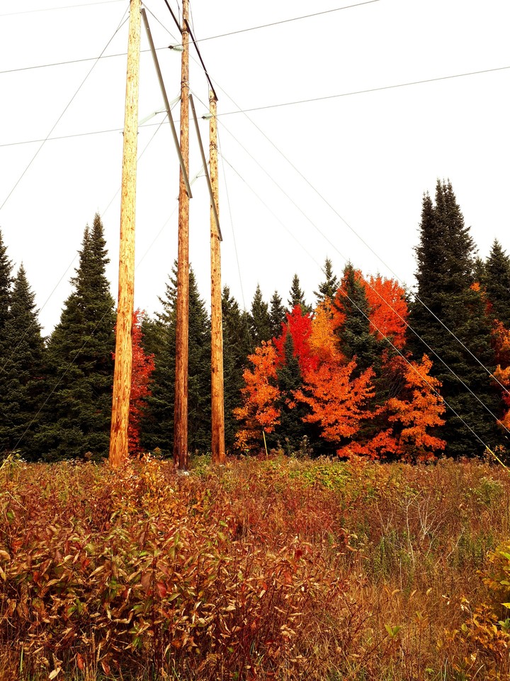 Electric poles
