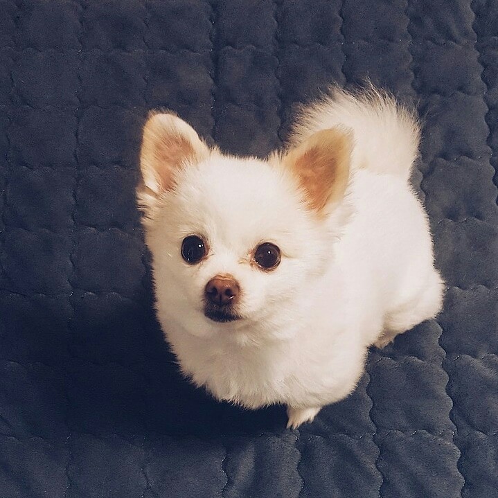 ??