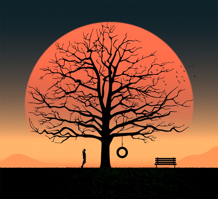Sunset Tree