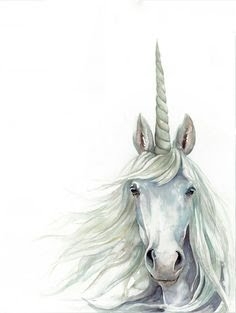 unicornio